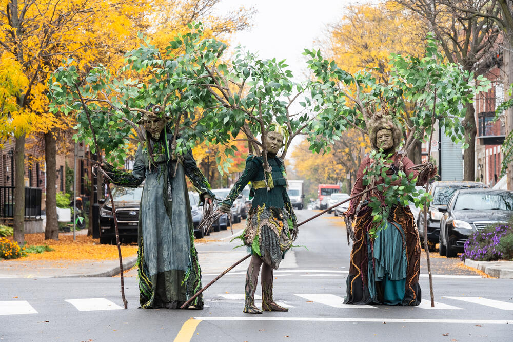 Le chant de l'arbre